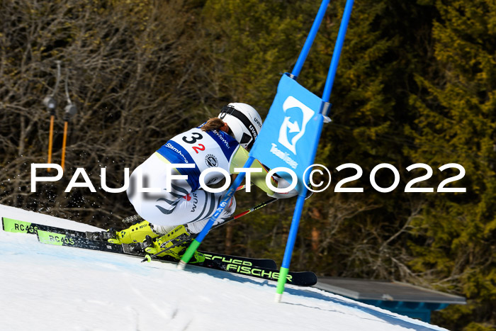 Team Parallelslalom Dt. Meisterschaft, 25.02.2022
