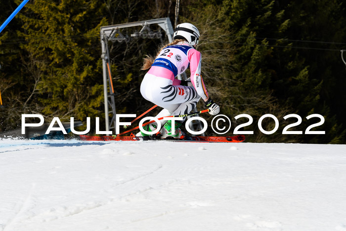 Team Parallelslalom Dt. Meisterschaft, 25.02.2022
