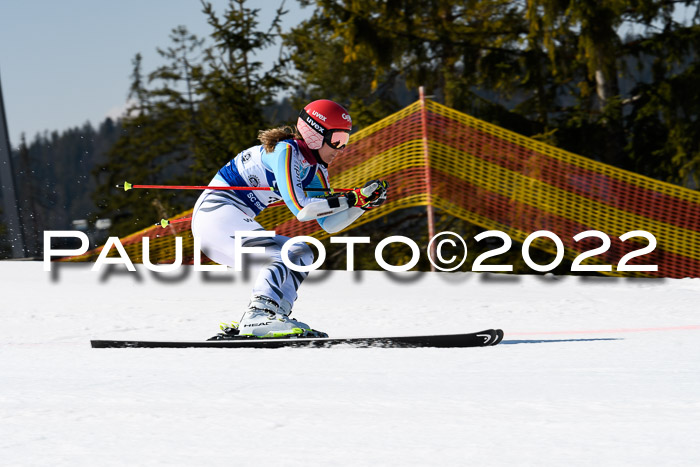 Team Parallelslalom Dt. Meisterschaft, 25.02.2022