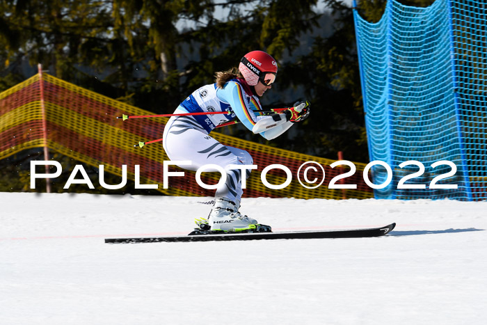 Team Parallelslalom Dt. Meisterschaft, 25.02.2022