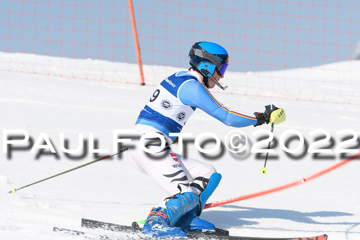 Deutsche Meisterschaft SL Herren