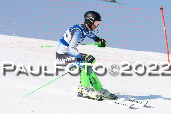 Deutsche Meisterschaft SL Herren