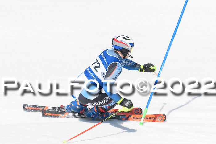 Deutsche Meisterschaft SL Herren