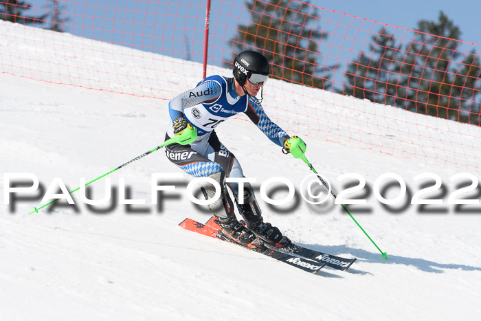 Deutsche Meisterschaft SL Herren