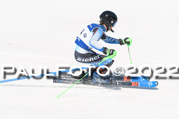 Deutsche Meisterschaft SL Herren