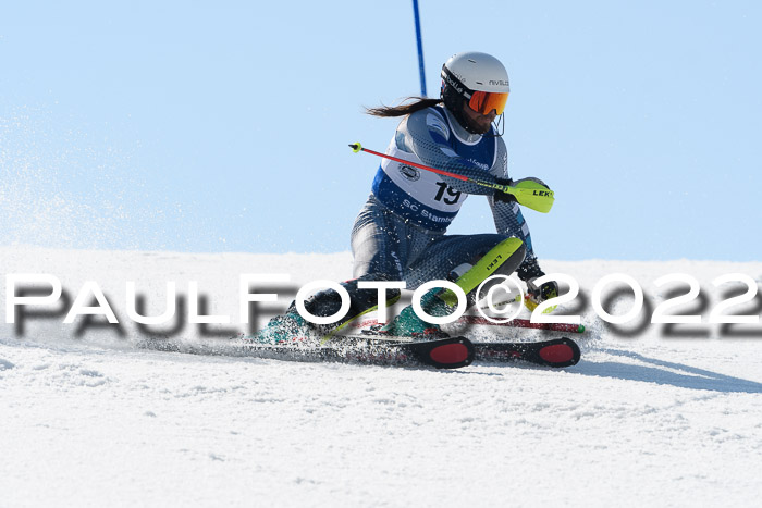 Deutsche Meisterschaft SL Herren