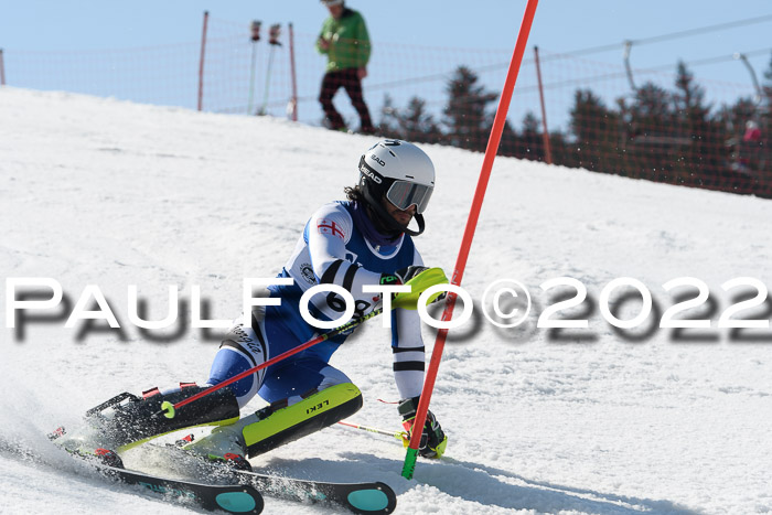 Deutsche Meisterschaft SL Herren