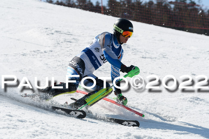 Deutsche Meisterschaft SL Herren