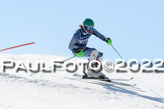 Deutsche Meisterschaft SL Herren