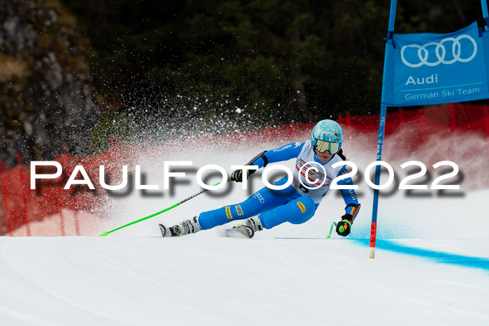 NC + FIS, Super-G, Damen + Herren, 29.03.2022