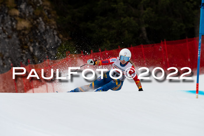 NC + FIS, Super-G, Damen + Herren, 29.03.2022