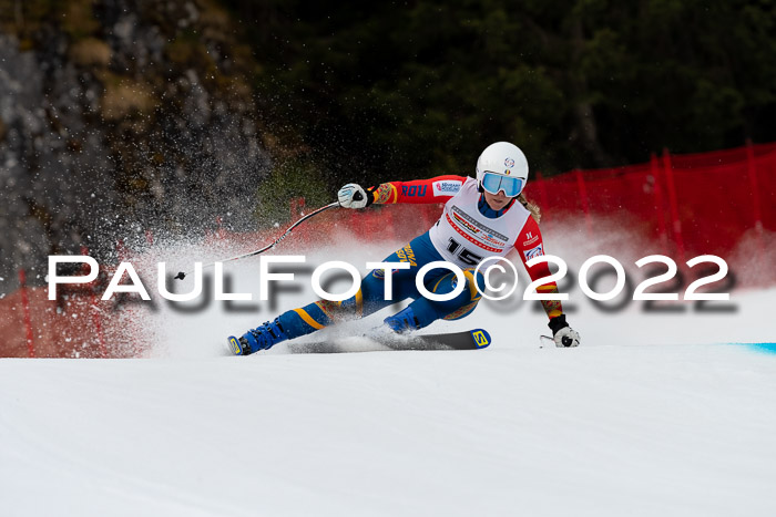 NC + FIS, Super-G, Damen + Herren, 29.03.2022