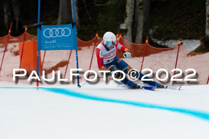 NC + FIS, Super-G, Damen + Herren, 29.03.2022