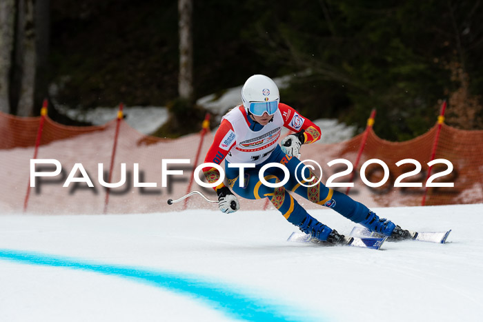 NC + FIS, Super-G, Damen + Herren, 29.03.2022