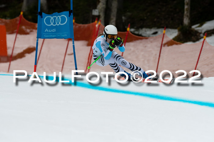 NC + FIS, Super-G, Damen + Herren, 29.03.2022