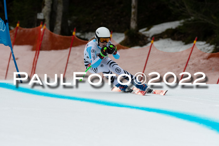 NC + FIS, Super-G, Damen + Herren, 29.03.2022