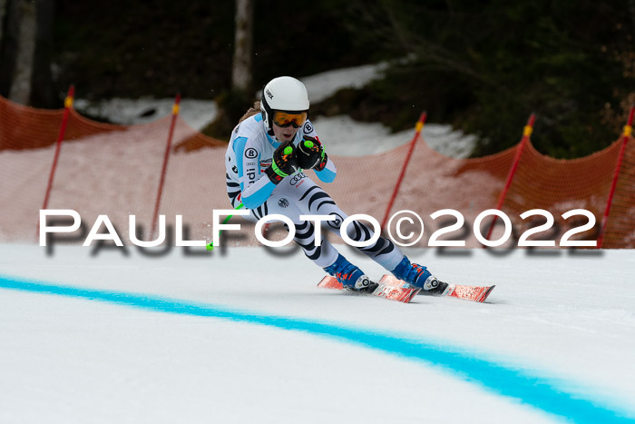 NC + FIS, Super-G, Damen + Herren, 29.03.2022