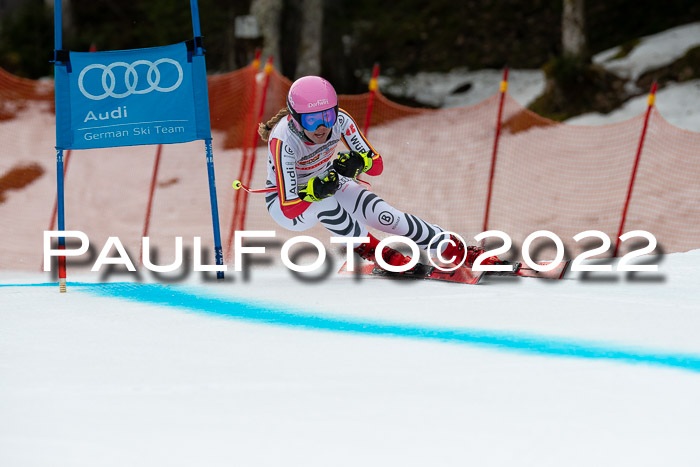 NC + FIS, Super-G, Damen + Herren, 29.03.2022