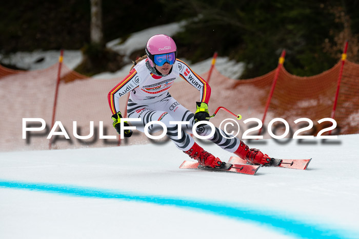 NC + FIS, Super-G, Damen + Herren, 29.03.2022