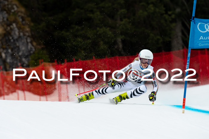 NC + FIS, Super-G, Damen + Herren, 29.03.2022