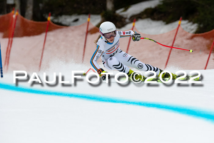 NC + FIS, Super-G, Damen + Herren, 29.03.2022