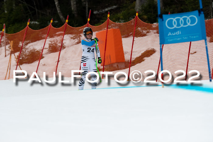 NC + FIS, Super-G, Damen + Herren, 29.03.2022