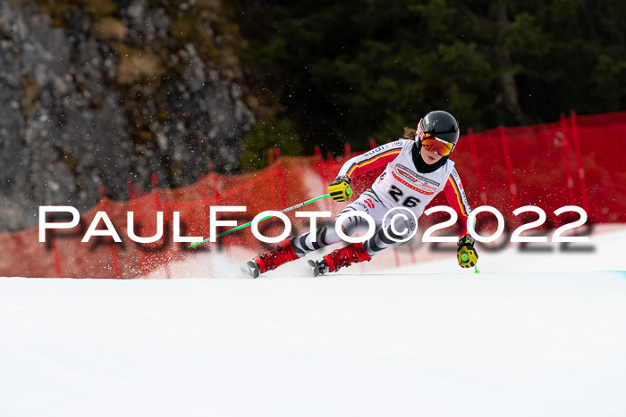 NC + FIS, Super-G, Damen + Herren, 29.03.2022