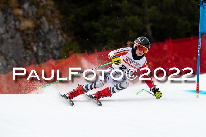 NC + FIS, Super-G, Damen + Herren, 29.03.2022