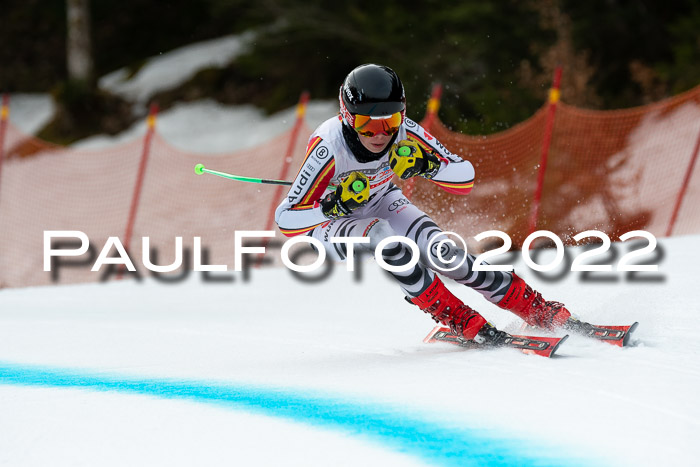 NC + FIS, Super-G, Damen + Herren, 29.03.2022