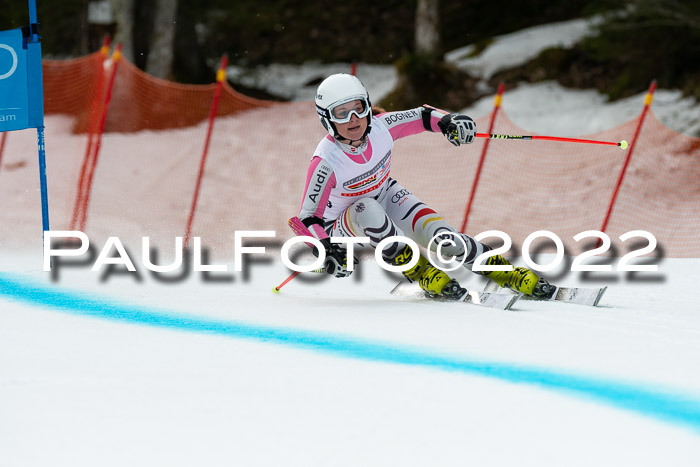 NC + FIS, Super-G, Damen + Herren, 29.03.2022