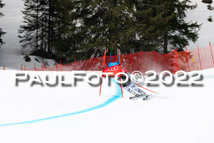 NC + FIS, Super-G, Damen + Herren, 29.03.2022