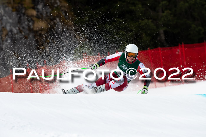 NC + FIS, Super-G, Damen + Herren, 29.03.2022