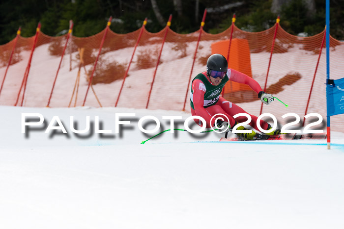 NC + FIS, Super-G, Damen + Herren, 29.03.2022