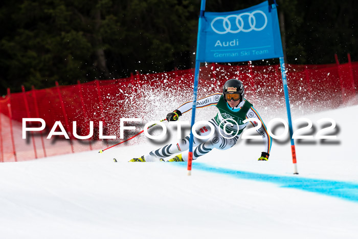 NC + FIS, Super-G, Damen + Herren, 29.03.2022