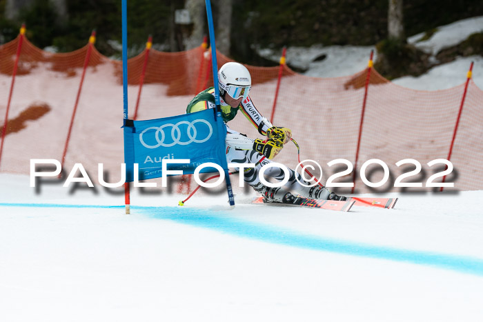 NC + FIS, Super-G, Damen + Herren, 29.03.2022