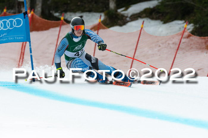 NC + FIS, Super-G, Damen + Herren, 29.03.2022