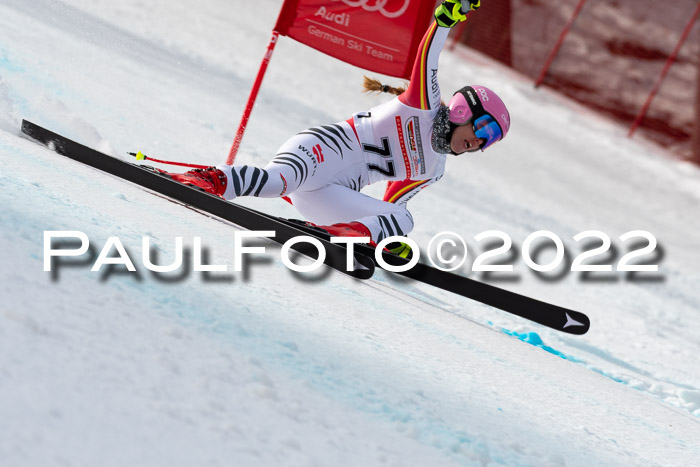 NC + FIS, Super-G, Damen + Herren, 29.03.2022