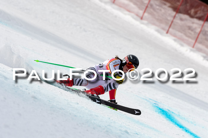 NC + FIS, Super-G, Damen + Herren, 29.03.2022