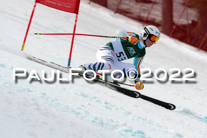 NC + FIS, Super-G, Damen + Herren, 29.03.2022