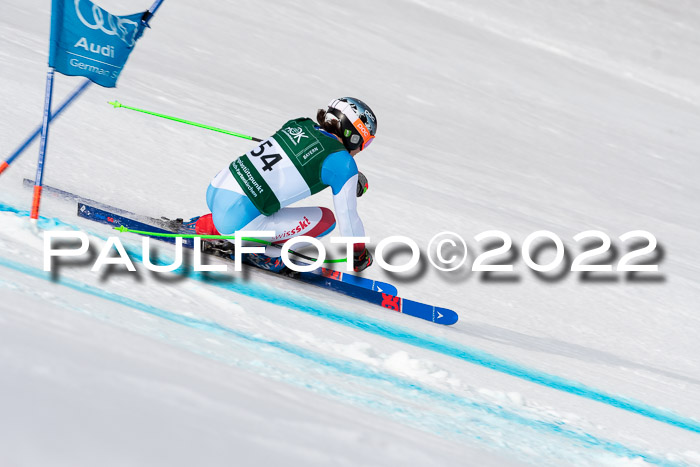 NC + FIS, Super-G, Damen + Herren, 29.03.2022