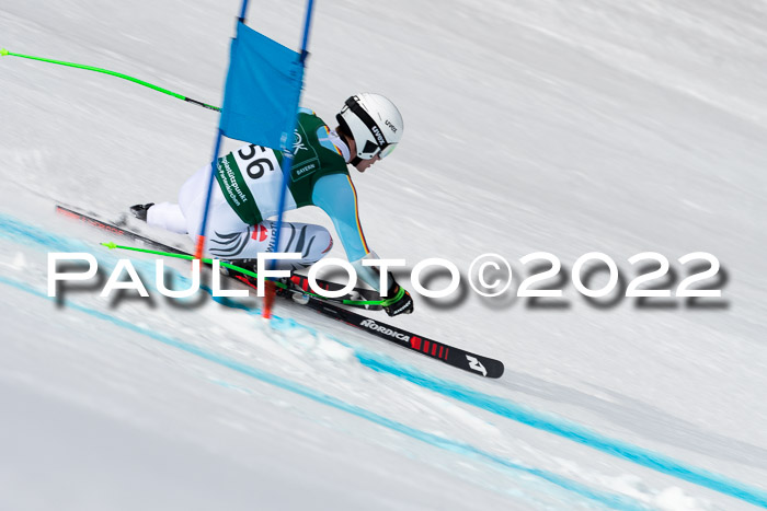 NC + FIS, Super-G, Damen + Herren, 29.03.2022