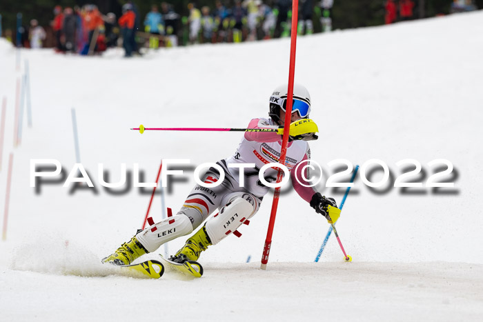 FIS AC + NC AC Slalom Damen + Herren 30.03.2022