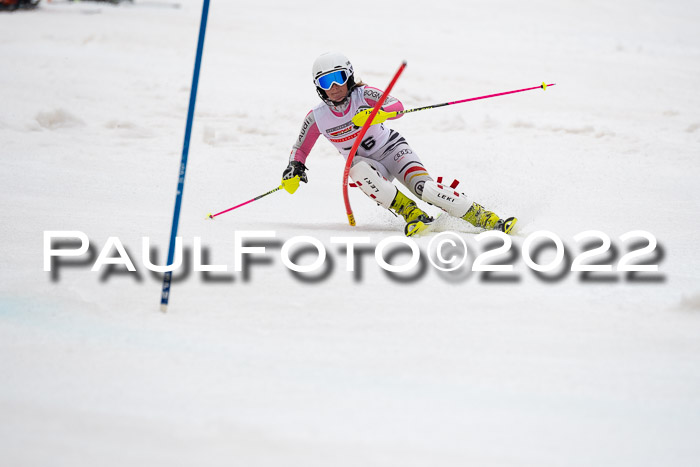 FIS AC + NC AC Slalom Damen + Herren 30.03.2022