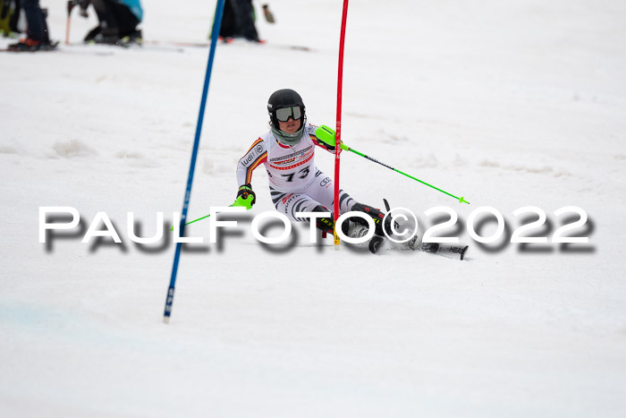 FIS AC + NC AC Slalom Damen + Herren 30.03.2022