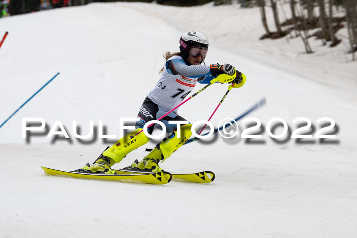 FIS AC + NC AC Slalom Damen + Herren 30.03.2022