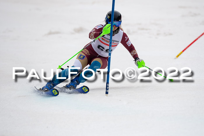 FIS AC + NC AC Slalom Damen + Herren 30.03.2022