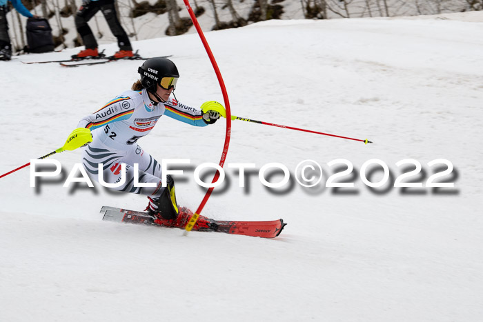 FIS AC + NC AC Slalom Damen + Herren 30.03.2022