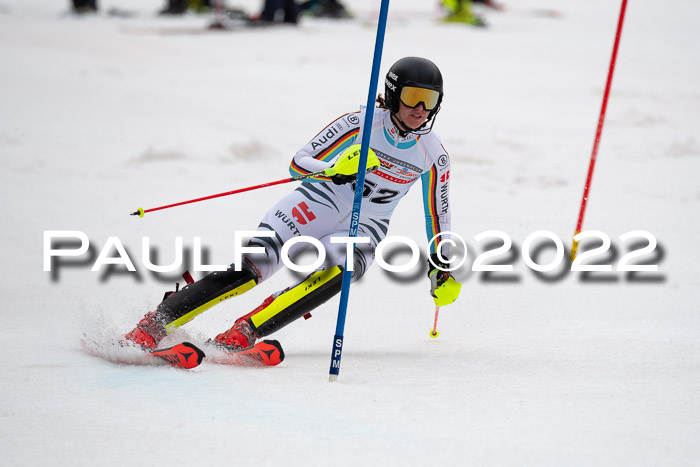 FIS AC + NC AC Slalom Damen + Herren 30.03.2022