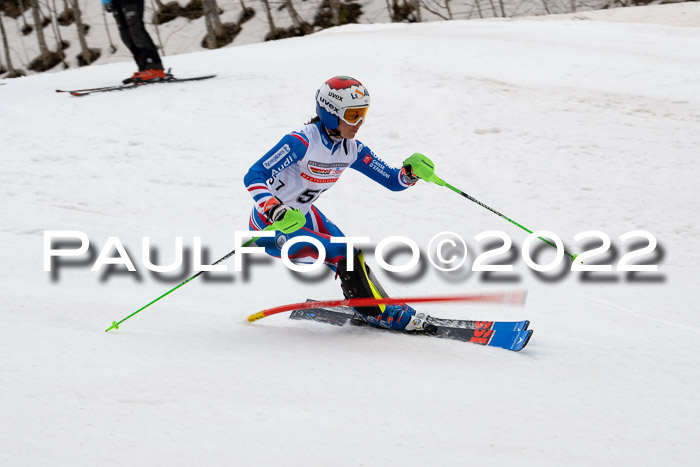 FIS AC + NC AC Slalom Damen + Herren 30.03.2022