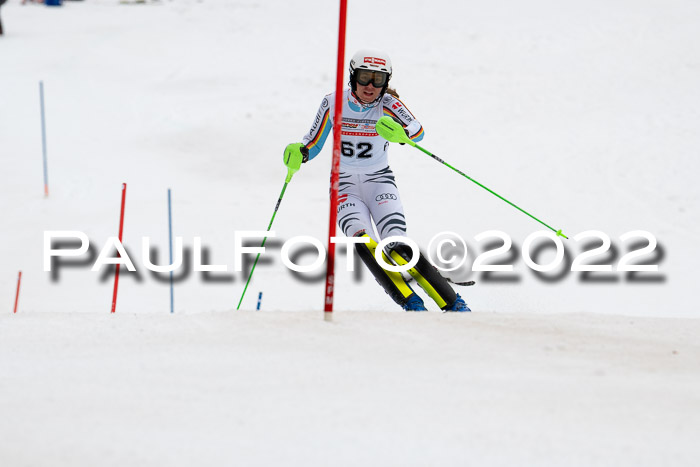 FIS AC + NC AC Slalom Damen + Herren 30.03.2022